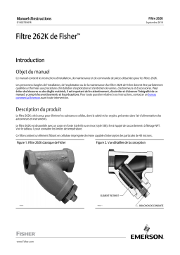 Fisher Filtre 262K de ( 262K Strainer) Manuel du propriétaire