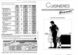 Brandt GN5025 Manuel utilisateur