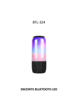 Denver BTL-324 Bluetooth speaker Manuel utilisateur