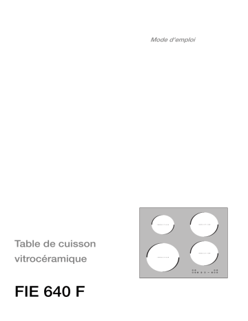 Manuel du propriétaire | Faure FIE640F 15R Manuel utilisateur | Fixfr