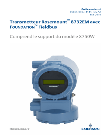 Mode d'emploi | Rosemount Transmetteur 8732EM avec FOUNDATION™ Fieldbus Manuel utilisateur | Fixfr