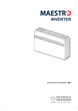 Olimpia Splendid Maestro Pro Inverter 12 HP Manuel utilisateur