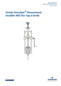 Rosemount Sonde Annubar® 485 Flo-Tap à bride Manuel utilisateur