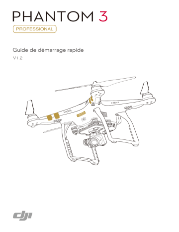 Mode d'emploi | dji Phantom 3 Professional Manuel utilisateur | Fixfr