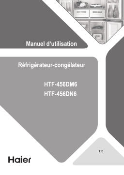 Haier HFT 610DM7 Manuel utilisateur