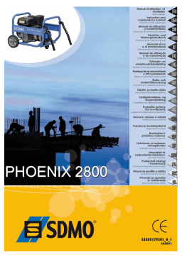 SDMO PHOENIX 6300 Manuel utilisateur