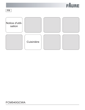 Manuel du propriétaire | Faure FCM540GCWA/1FCM6501CWA Manuel utilisateur | Fixfr