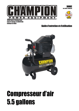 Champion Power Equipment 30002 Manuel utilisateur