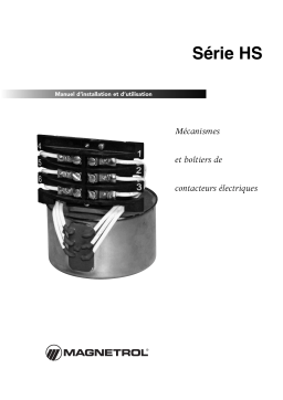 Magnetrol Hermetically Sealed Switch Manuel utilisateur