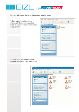 DANE-ELEC MEIZU Manuel utilisateur