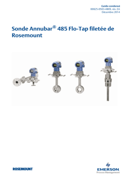 Rosemount 485 Sonde Annubar® Flo-Tap filetée Manuel utilisateur