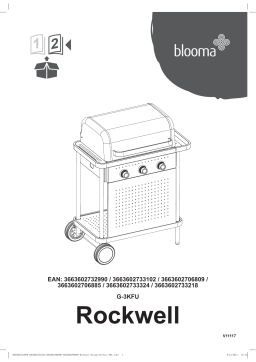 GoodHome Rockwell 300 Mode d'emploi