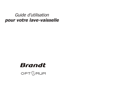 Brandt A310 Manuel utilisateur