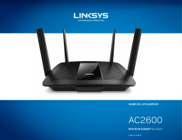 Linksys WRT120N,MV Manuel utilisateur