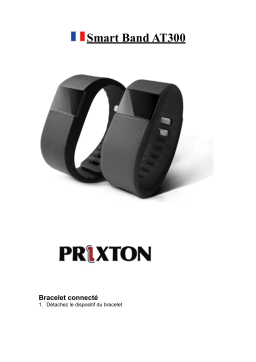 PRIXTON AT300 Manuel utilisateur