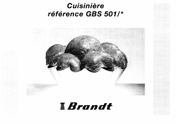 Manuel du propriétaire | Brandt GBS501 Manuel utilisateur | Fixfr