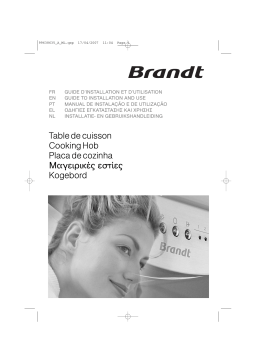 Brandt TI614BS1 Manuel utilisateur