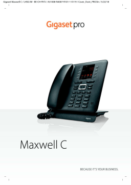 Gigaset Pro Maxwell C Manuel utilisateur