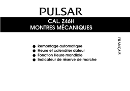 Pulsar Z46H Manuel utilisateur