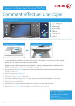 Xerox WORKCENTRE 5945 5955 Manuel utilisateur