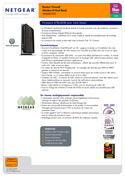 Netgear WNDR3800 Manuel utilisateur