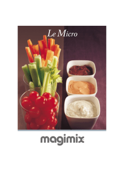 Magimix LE MICRO ROUGE Manuel utilisateur