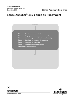 Rosemount Sonde Annubar® 485 à bride Manuel utilisateur