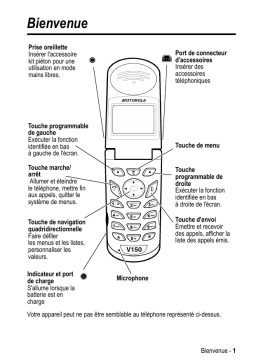 Motorola V150 Manuel utilisateur