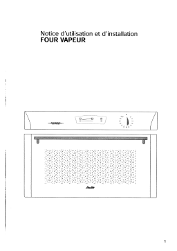 Brandt VMF10B Manuel utilisateur