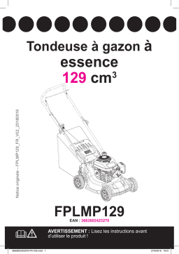 Castorama FPLMP129 Mode d'emploi