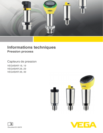 VEGABAR 19 | VEGABAR 38 | VEGABAR 39 | VEGABAR 28 | VEGABAR 29 | Vega VEGABAR 18 Pressure transmitter Information produit | Fixfr