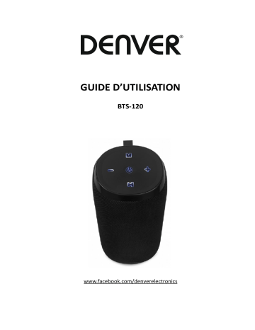 Denver BTS-120 Bluetooth speaker Manuel utilisateur | Fixfr