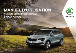 SKODA Karoq - 2017 Manuel utilisateur