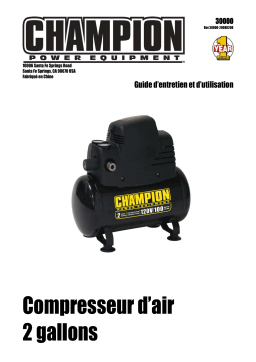 Champion Power Equipment 30000 Manuel utilisateur