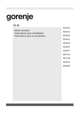 Gorenje G640X Table de cuisson à gaz Manuel utilisateur