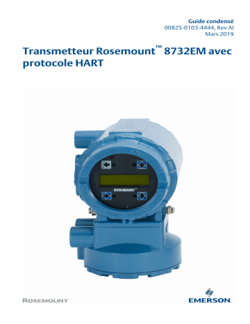 Mode d'emploi | Rosemount 8732EM Transmetteur avec protocole HART Manuel utilisateur | Fixfr