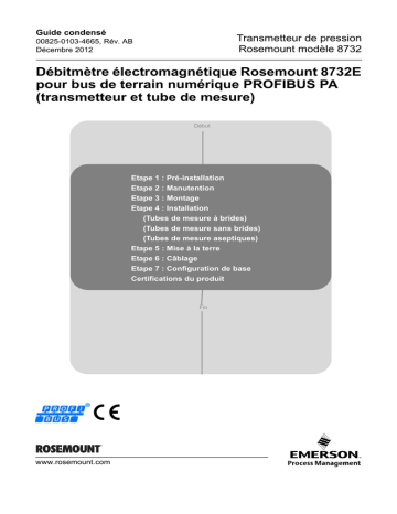 Mode d'emploi | Rosemount 8732E Débitmètre électromagnétique pour bus de terrain numérique PROFIBUS PA (transmetteur et tube de mesure) Manuel utilisateur | Fixfr