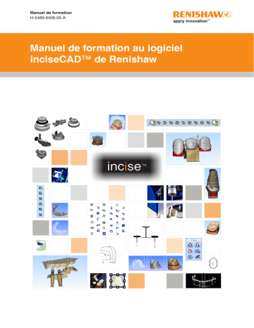 Renishaw inciseCAD Mode d'emploi | Fixfr