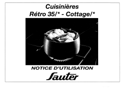 Sauter Rétro 35/* - Cottage/* : Assistance IA & PDF