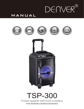 Denver TSP-300 8” Bluetooth trolley speaker Manuel utilisateur | Fixfr