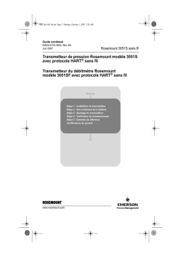 Rosemount 3051S Transmetteur de pression et 3051SF Transmetteur du débitmètre avec protocole HART® sans fil Manuel utilisateur