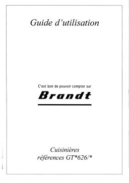 Brandt FGAZ1 Manuel utilisateur