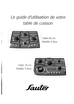 sauter T106RN Manuel utilisateur