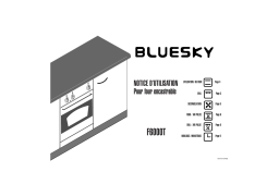 Bluesky F 6000 T Four Manuel utilisateur