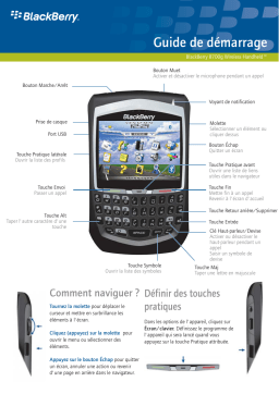 Blackberry 8700G Manuel utilisateur