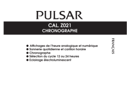 Pulsar Z021 Manuel utilisateur