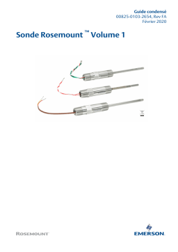 Rosemount Sonde de volume 1 Manuel utilisateur