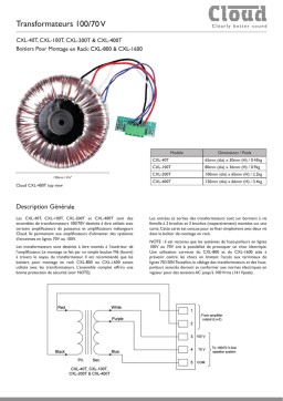 Cloud CXL Toroid Transformer Fiche technique