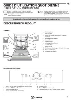 Indesit DFE 1B19 14 Manuel utilisateur