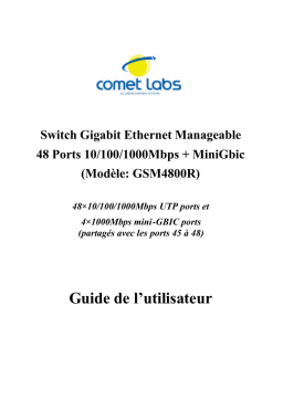 Comet Labs GSM4800R Manuel utilisateur